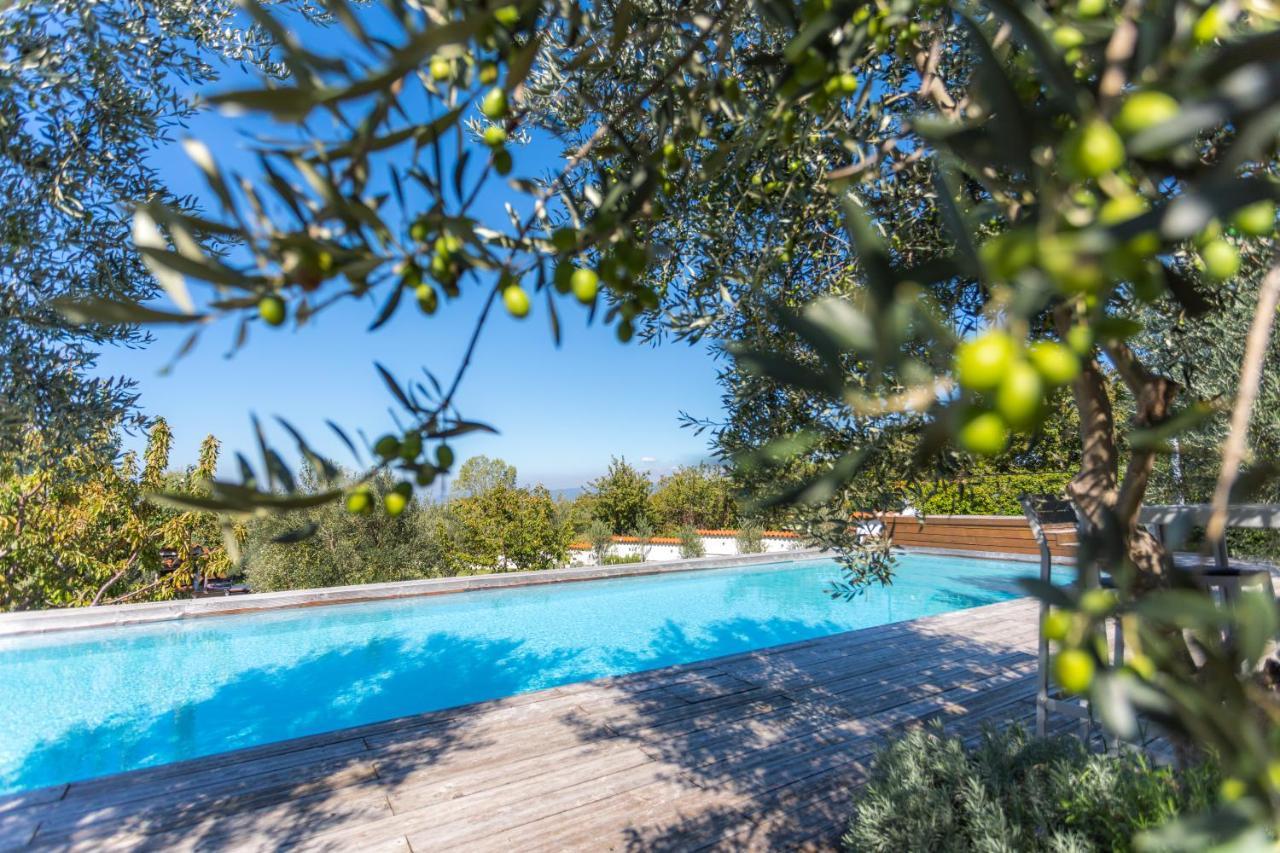 Villa Emi Zgornje Skofije Екстер'єр фото