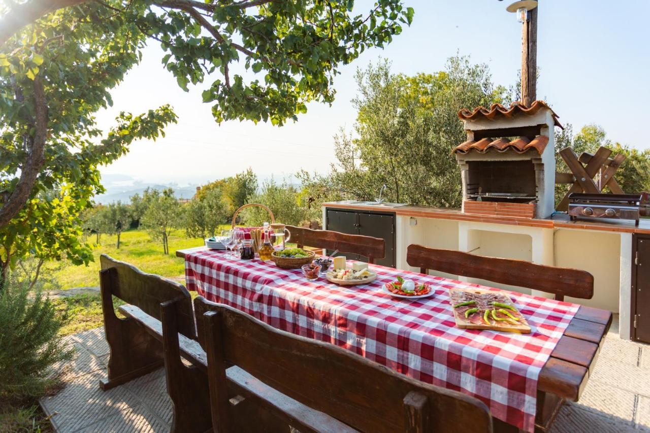 Villa Emi Zgornje Skofije Екстер'єр фото